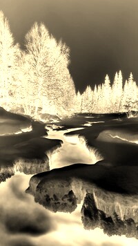 Sepia + Negatyw