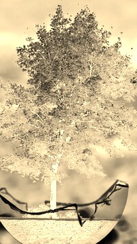 Sepia + Negatyw