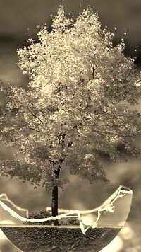 Sepia