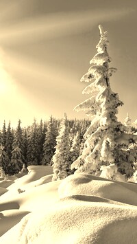 Sepia