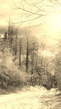 Szary + Sepia