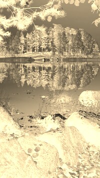 Sepia + Negatyw