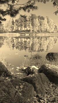 Szary + Sepia