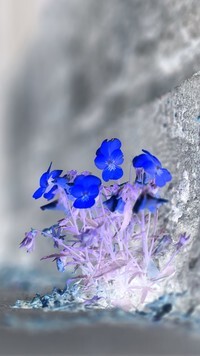 Negatyw
