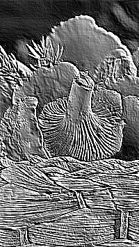 Skamielina