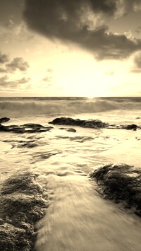 Szary + Sepia