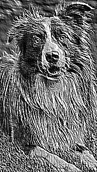 Skamielina