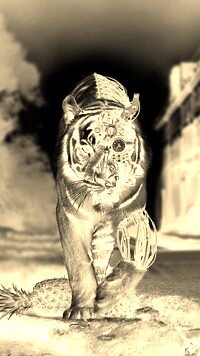 Sepia + Negatyw