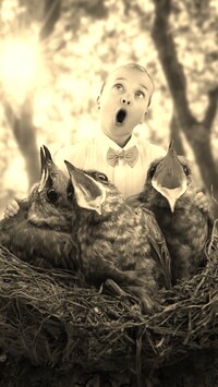 Szary + Sepia