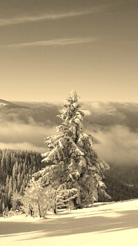 Sepia