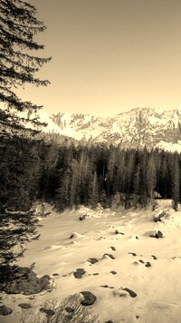 Szary + Sepia