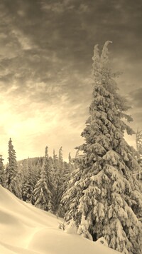 Szary + Sepia