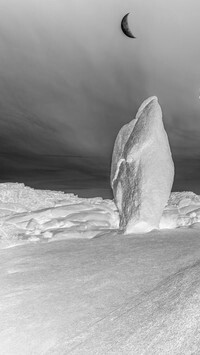 Szary + Negatyw