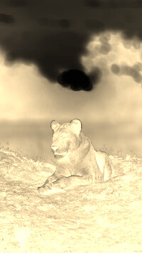 Sepia + Negatyw