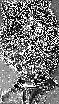Skamielina
