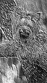 Skamielina