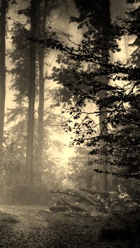 Szary + Sepia