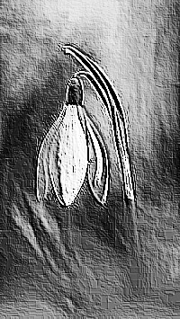 Skamielina