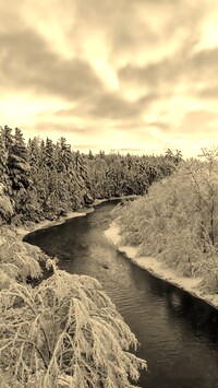 Szary + Sepia
