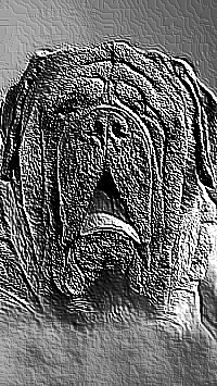 Skamielina