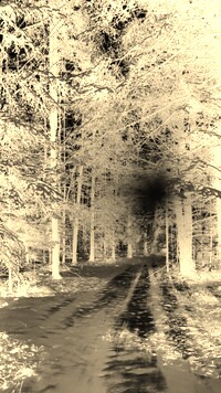 Sepia + Negatyw