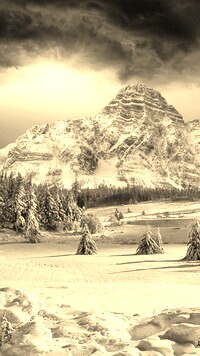 Szary + Sepia