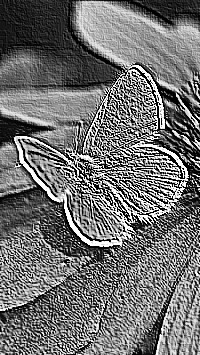 Skamielina