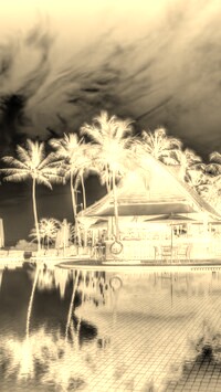 Sepia + Negatyw