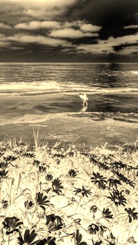 Sepia + Negatyw