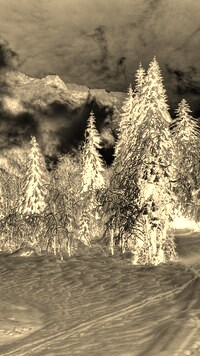 Sepia + Negatyw