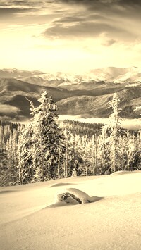 Sepia