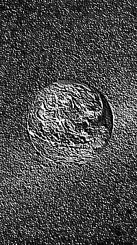 Skamielina