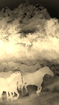 Sepia + Negatyw