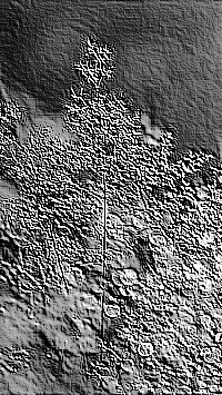 Skamielina