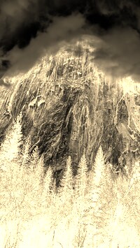 Sepia + Negatyw
