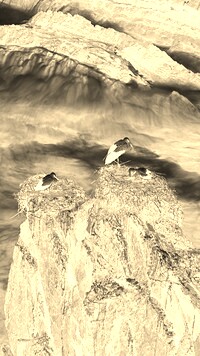 Sepia + Negatyw