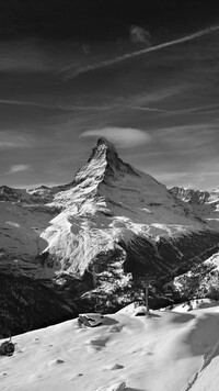 Szary