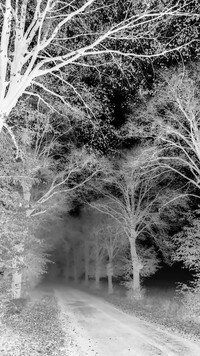 Szary + Negatyw
