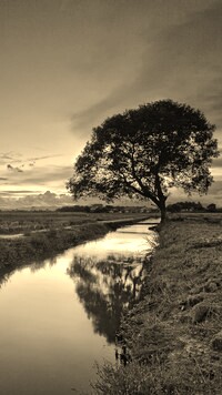 Szary + Sepia