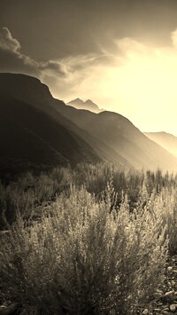 Szary + Sepia