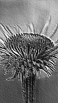 Skamielina