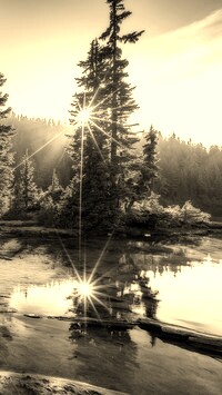 Szary + Sepia