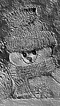 Skamielina