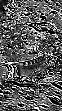 Skamielina
