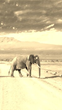 Sepia
