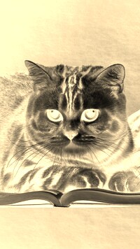 Sepia + Negatyw