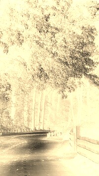 Sepia + Negatyw