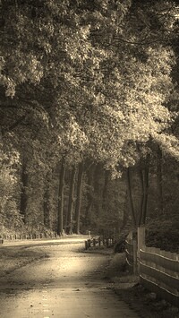 Szary + Sepia