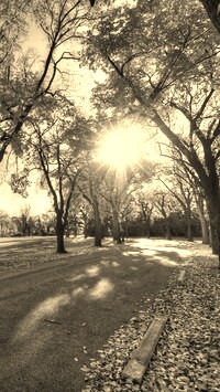 Sepia