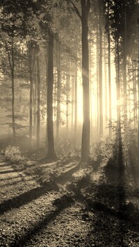 Szary + Sepia
